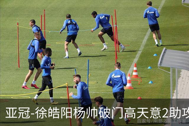 亚冠-徐皓阳杨帅破门高天意2助攻 申花2-1淡滨尼流浪者